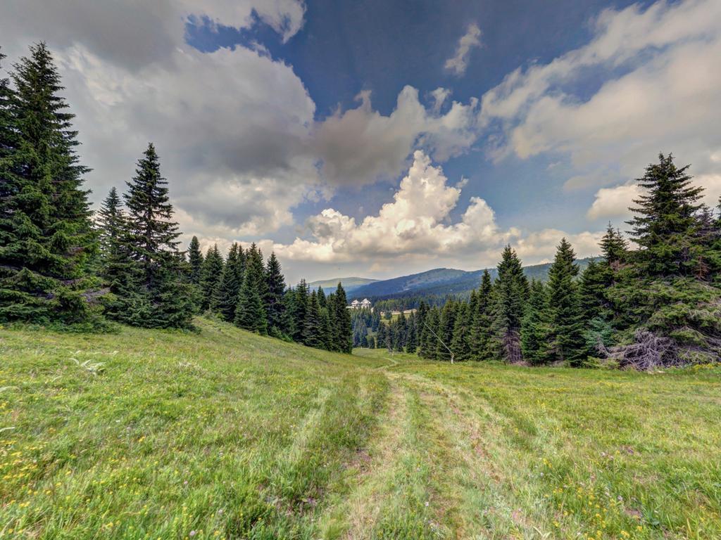 Hotel Angella Kopaonik Bagian luar foto