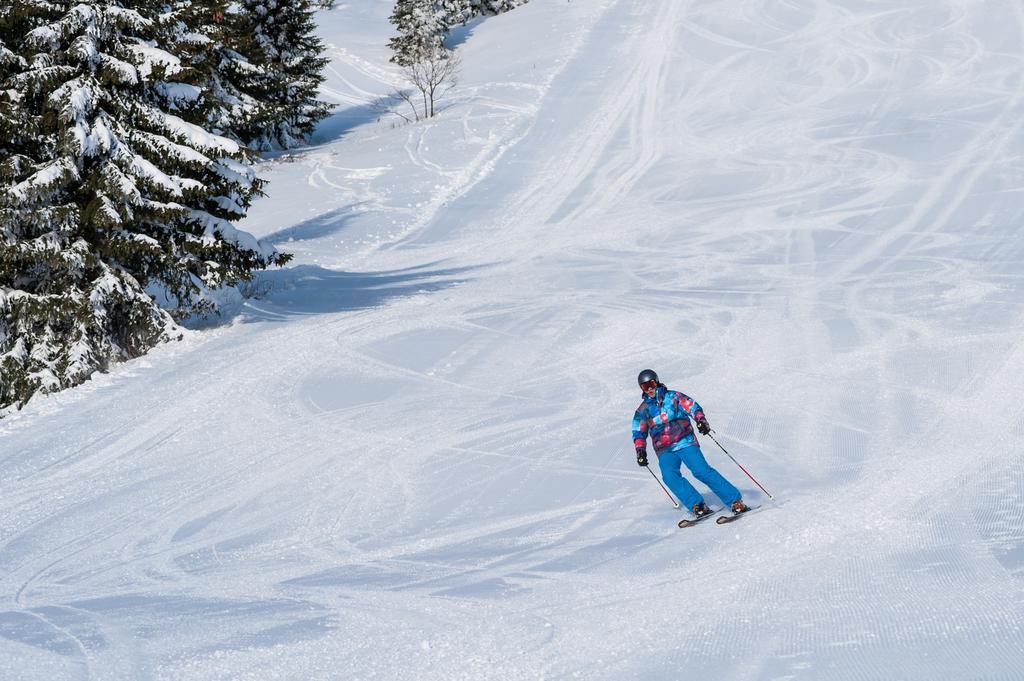 Hotel Angella Kopaonik Bagian luar foto